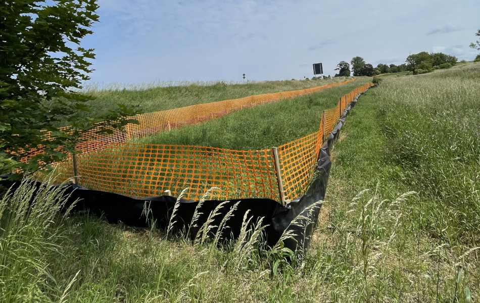 Ein orangener Stoff-Zaun umgibt einen langen Streifen auf einer Wiese. Im Hintergrund sind Bäume und ein Straßenschild von hinten zu sehen. Der untere Bereich des Zauns ist von einer schwarzen Folie ummantelt.