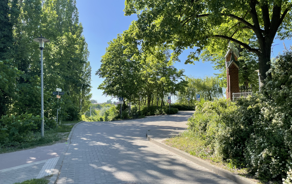 Eine gepflasterte Straße ist von Bäumen umsäumt und führt zu einem Parkplatz an einem Friedhof.